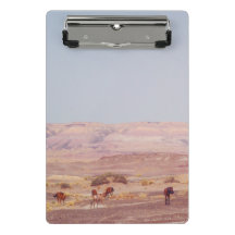 American Desert Horses P8670