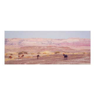 American Desert Horses P8670 Photo Print