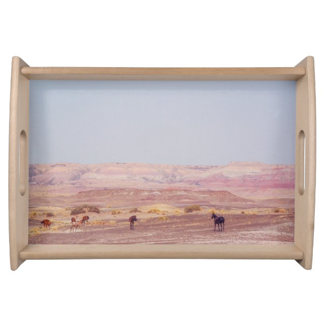 American Desert Horses P8670 Serving Tray (Front)