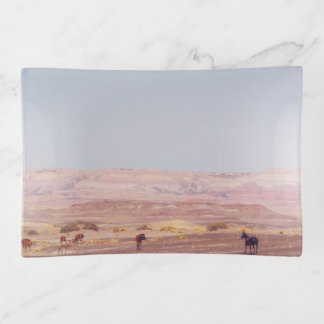 American Desert Horses P8670 Trinket Tray