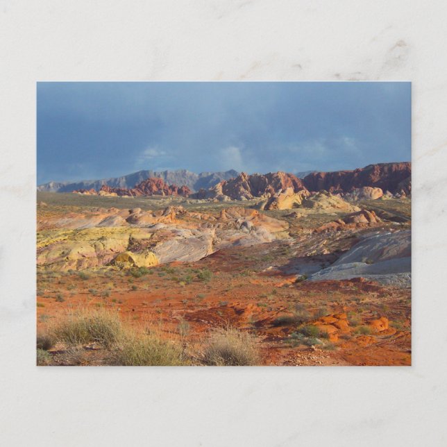 American Desert Landscapes:  Valley of Fire #3 Postcard (Front)