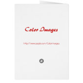 American Diva Butterfly (Back)