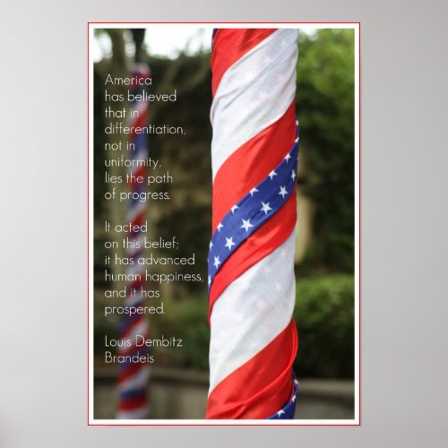 American Diversity Patriotic Poster