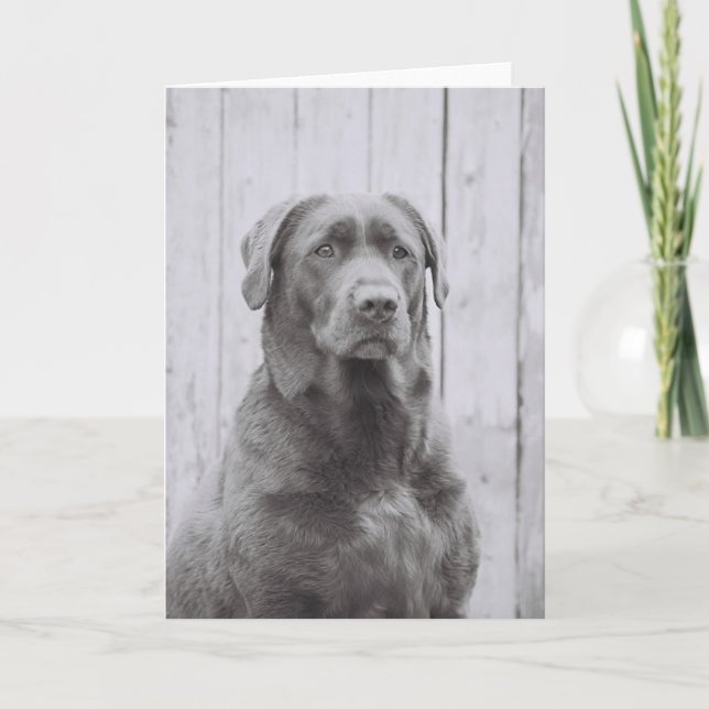 American Dog Card (Front)