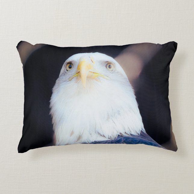 American Eagle Accent Pillow (Front)