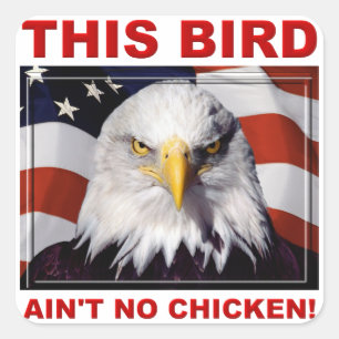 American Eagle Ain't No Chicken Sticker Stickers