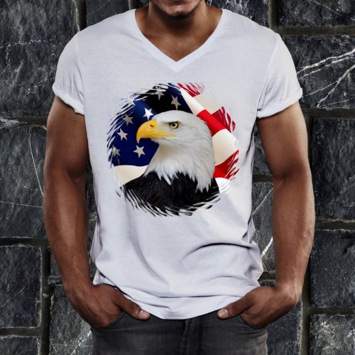 American Eagle American Flag T_Shirt