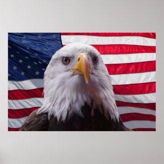 American eagle and flag