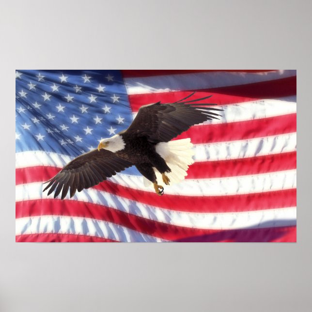 American Eagle and Flag Poster (Front)