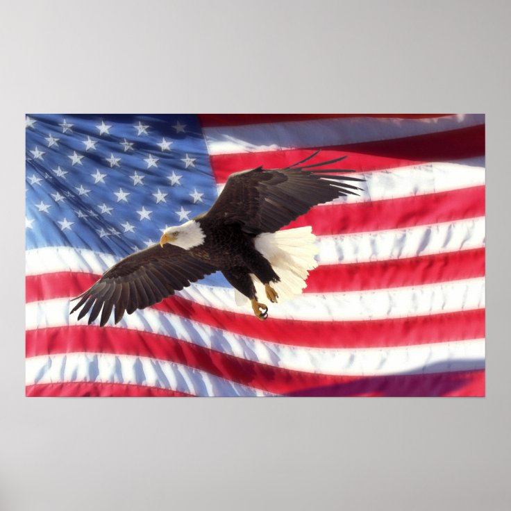 American Eagle and Flag Poster | Zazzle