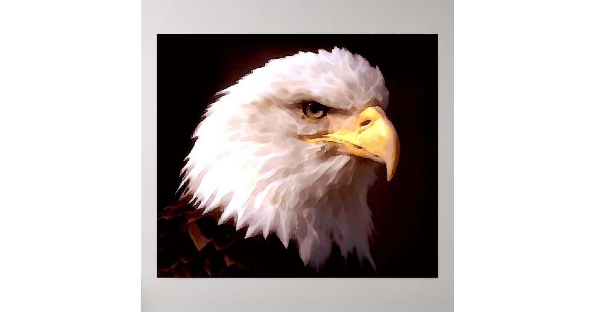 american eagle bald eagle poster print zazzle com free party invitations to print off
