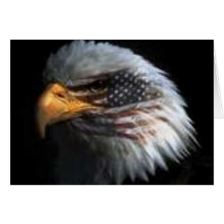 American Eagle Cards