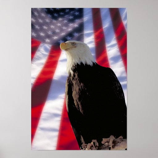 American Eagle & Flag Poster | Zazzle