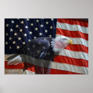 Flag Bald Eagle Posters & Photo Prints 