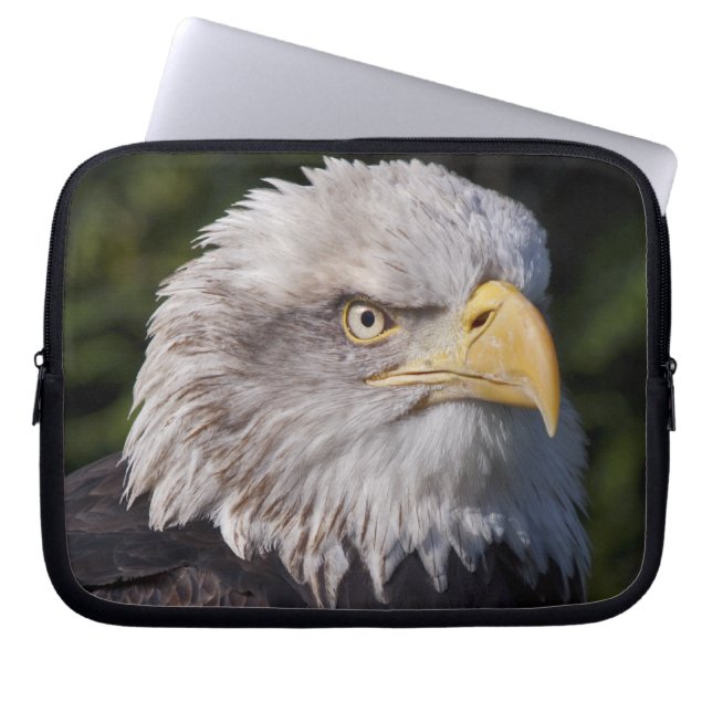 American Eagle Laptop Bag (Front)