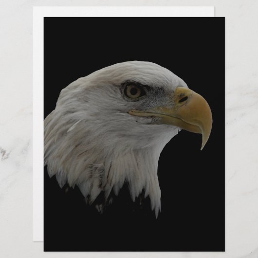 American Eagle Leadership Motivational (Front/Back)