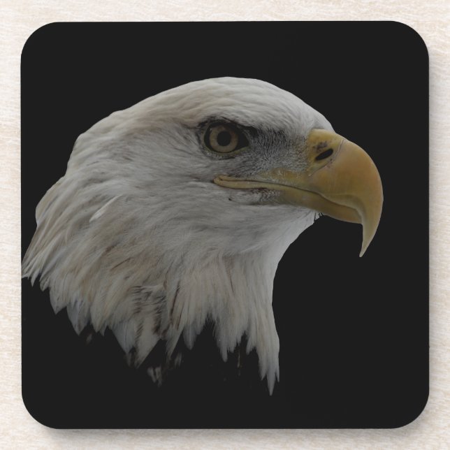 American Eagle Leadership Motivational Drink Coaster (Front)