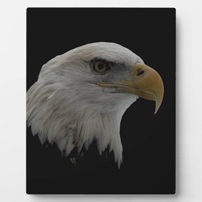 American Eagle Leadership Motivational Plaque (Front)