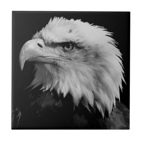 American Eagle Leadership Motivational Tile