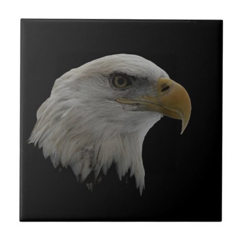 American Eagle Leadership Motivational Tile