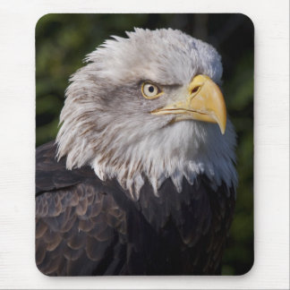 American Eagle Mousemat Mouse Pad