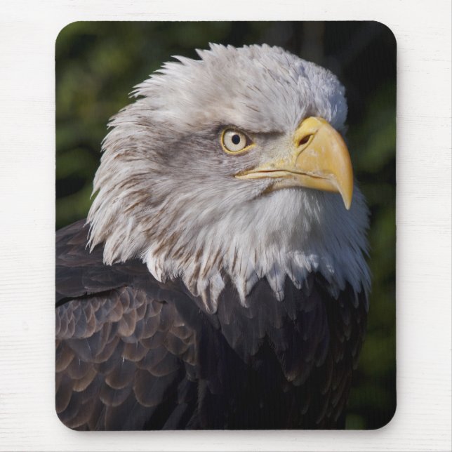 American Eagle Mousemat Mouse Pad (Front)