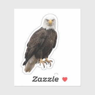 American eagle outfit sticker