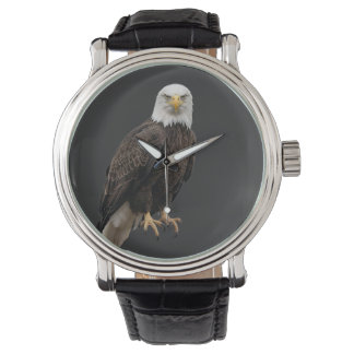 American eagle outfit watch