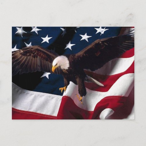 American Eagle Postcard 1
