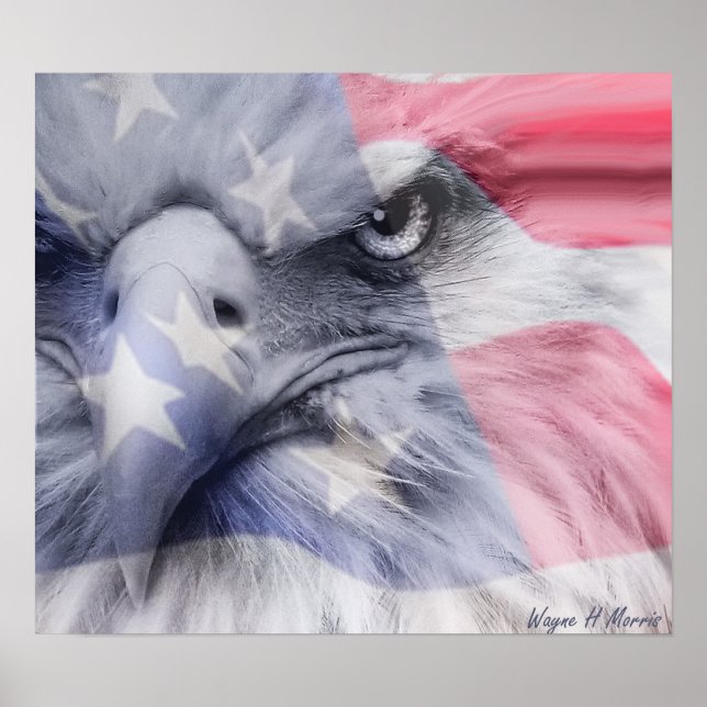 American Eagle Poster (Front)