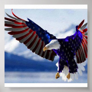 AMERICAN EAGLE POSTER. POSTER