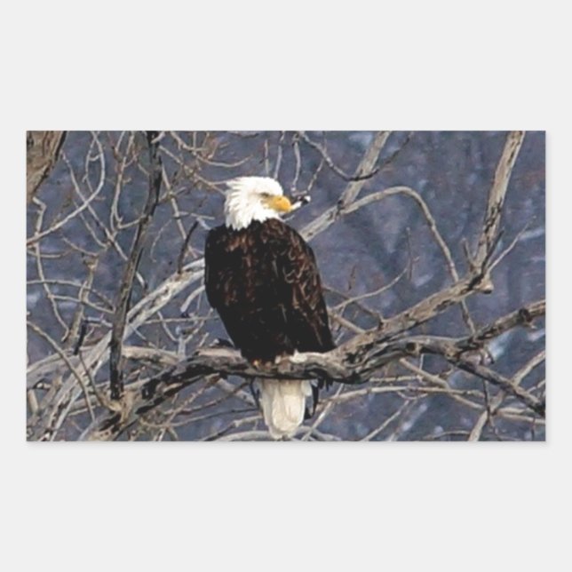 American Eagle Rectangular Sticker (Front)