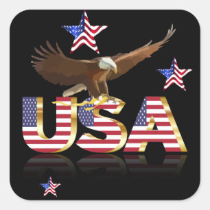 American eagle square sticker