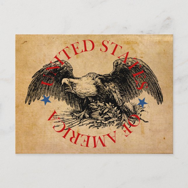 American Eagle: United States of America Postcard (Front)