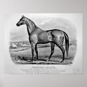 American Eclipse Poster