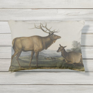 American Elk by John James Audubon Outdoor Pillow