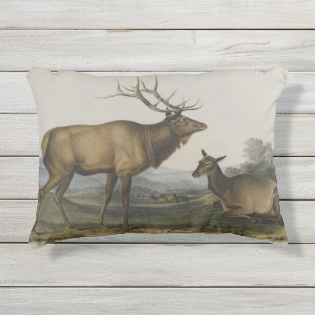American Elk by John James Audubon Outdoor Pillow (Front)
