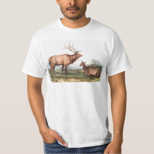 American Elk (Cervus Canadensis) Illustration T-Shirt