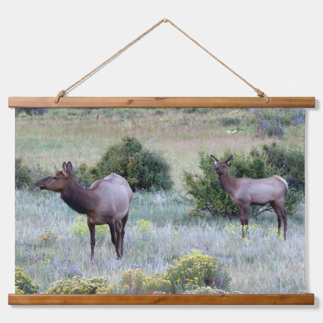 American Elk | Colorado Hanging Tapestry (Front)