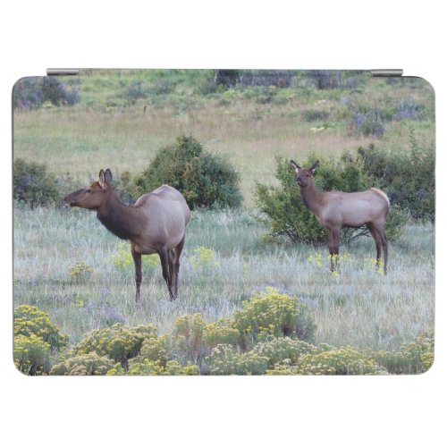 American Elk  Colorado iPad Air Cover