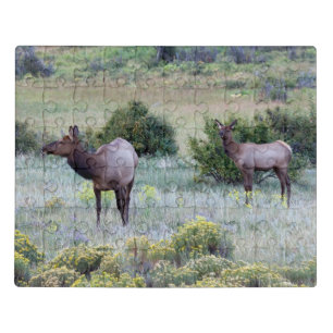 American Elk   Colorado Jigsaw Puzzle