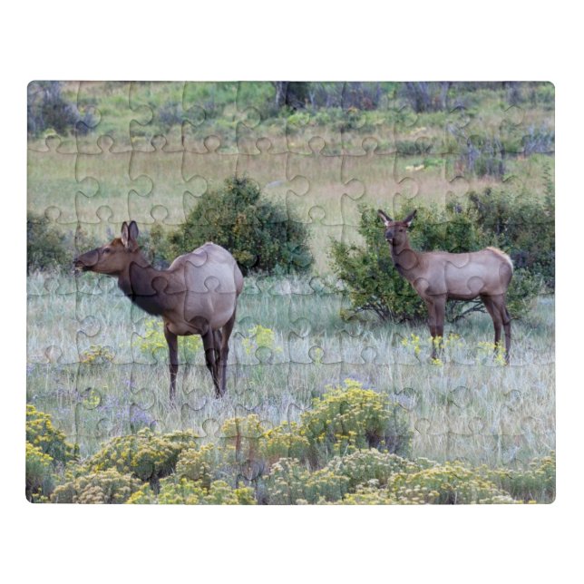 American Elk | Colorado Jigsaw Puzzle (Puzzle Horizontal)