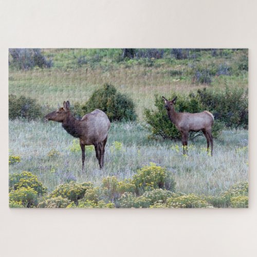 American Elk  Colorado Jigsaw Puzzle