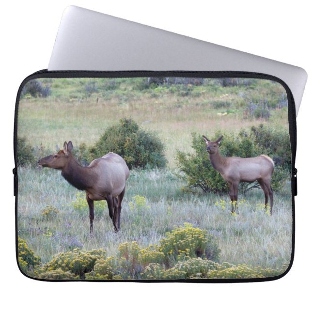 American Elk | Colorado Laptop Sleeve (Front)