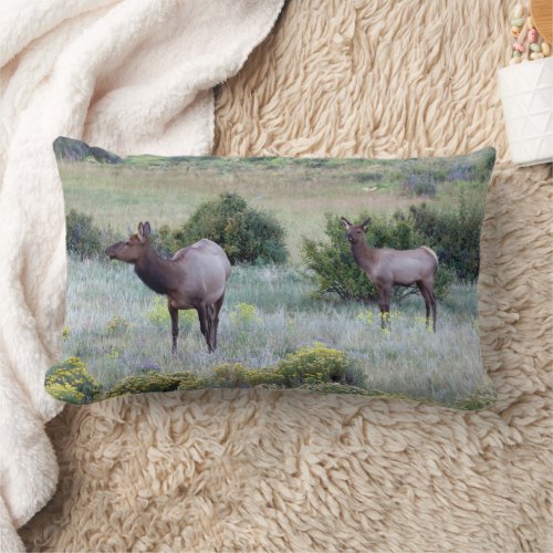 American Elk  Colorado Lumbar Pillow