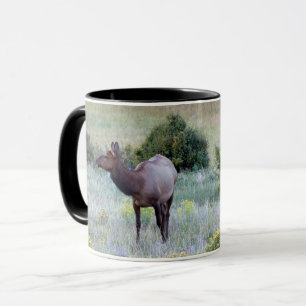American Elk Colorado Mug