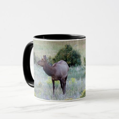 American Elk  Colorado Mug