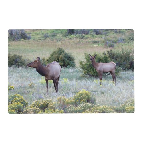 American Elk  Colorado Placemat