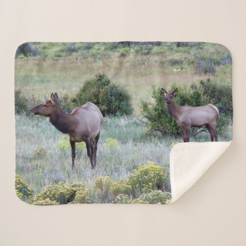 American Elk  Colorado Sherpa Blanket