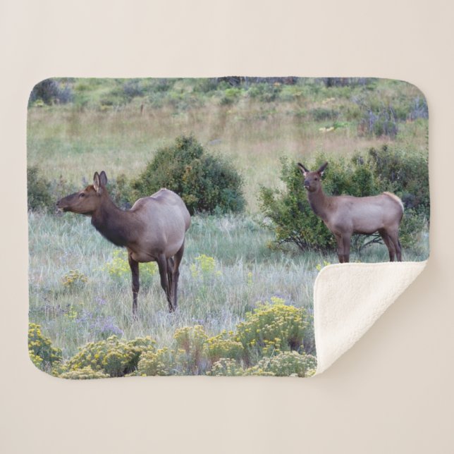 American Elk | Colorado Sherpa Blanket (Front (Horizontal))
